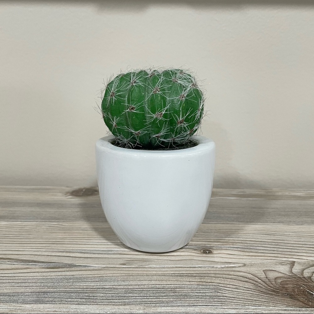 Fake Cactus
